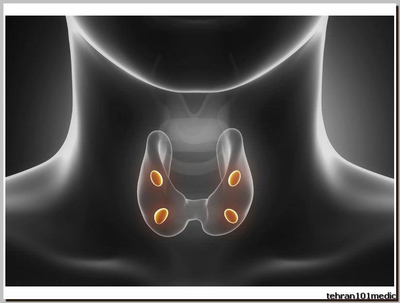 ? سونوگرافی تیروئید و پاراتیروئید در 2024 4 مزایا و محدودیتهای سونوگرافی