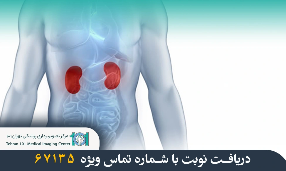 بیوپسی کلیه؛ راهکاری دقیق برای تشخیص و درمان بیماریهای کلیوی 3 بیوپسی کلیه
