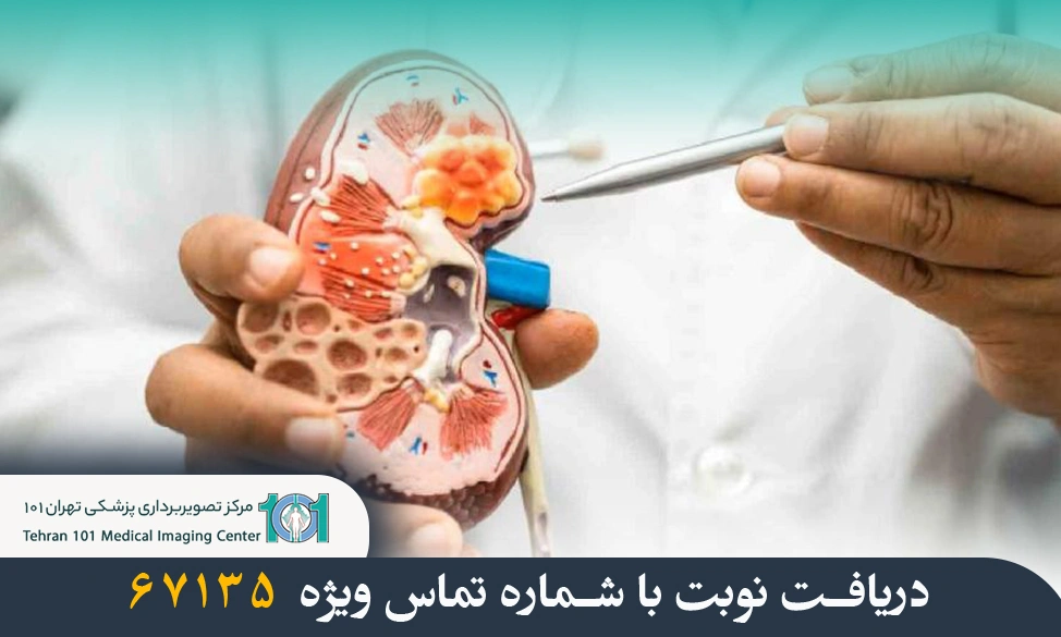 بیوپسی کلیه؛ راهکاری دقیق برای تشخیص و درمان بیماریهای کلیوی 2 بیوپسی کلیه