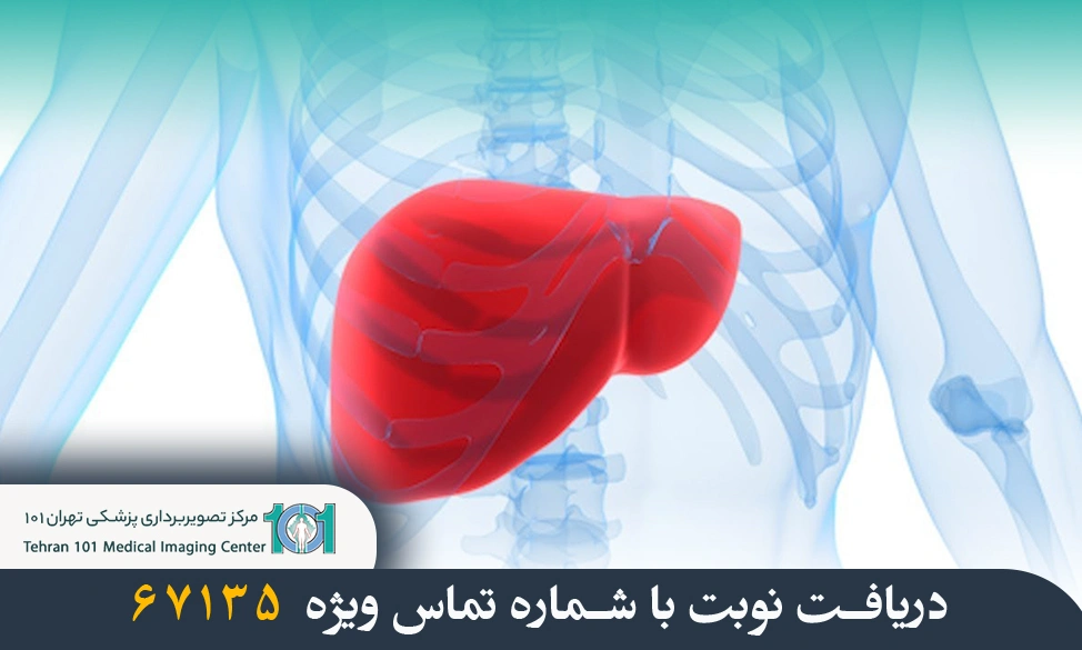 بهترین نوع تصویر برداری برای مشکلات کبدی 2 بهترین نوع تصویر برداری برای مشکلات کبدی